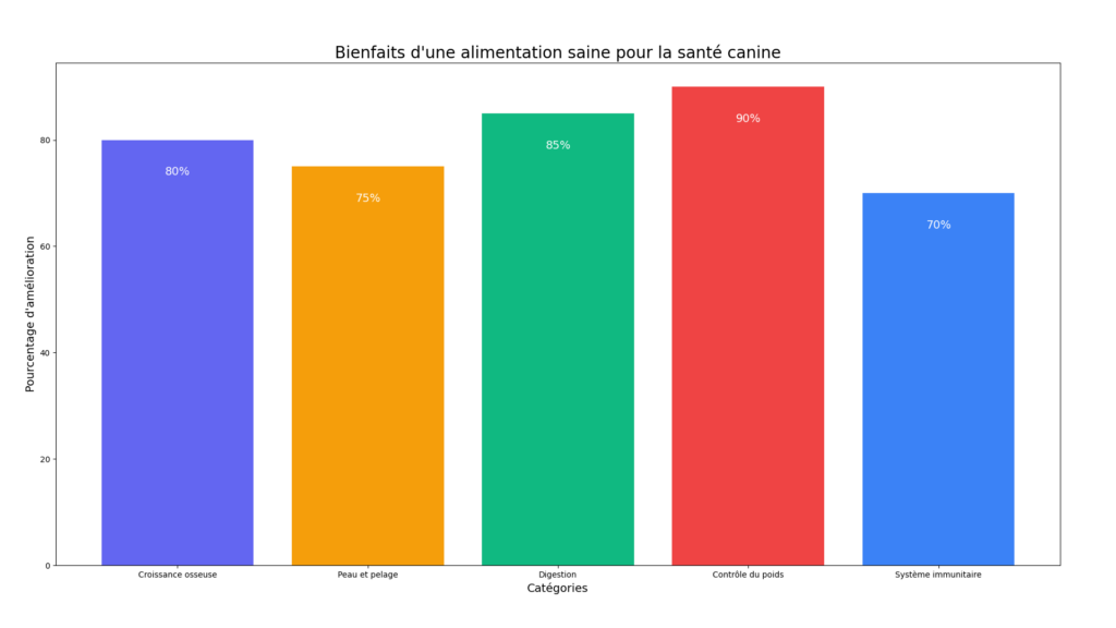 Bienfaits d'une alimentation saine pour la santé canine